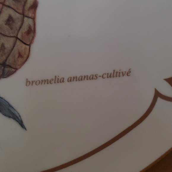 Vintage Pineapple Trivet Excellent condition - Picture 4 of 7